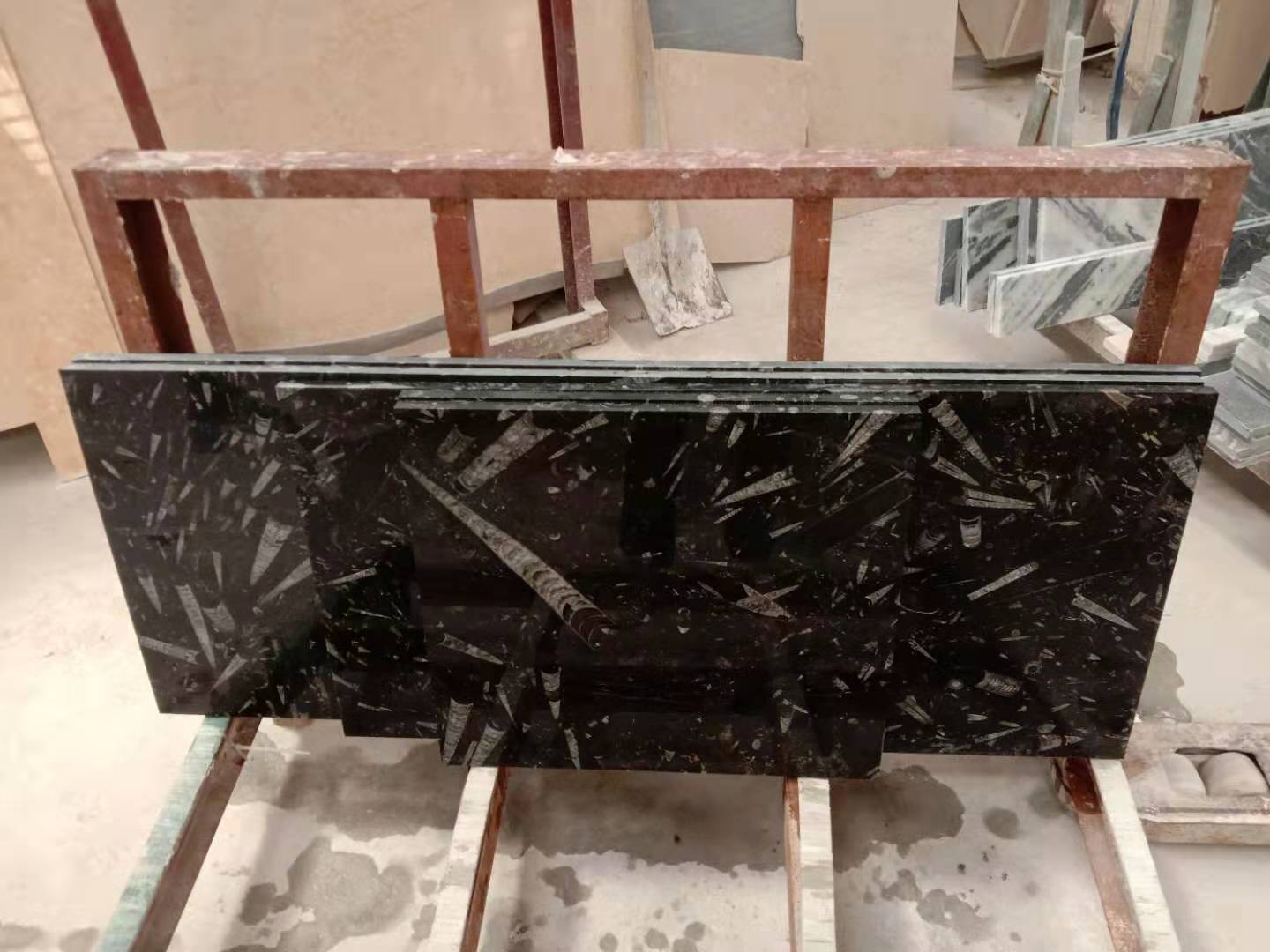 Morocco Fossil Stone&Ocean Jura Marble Tile Manufacturer,Morocco Fossil