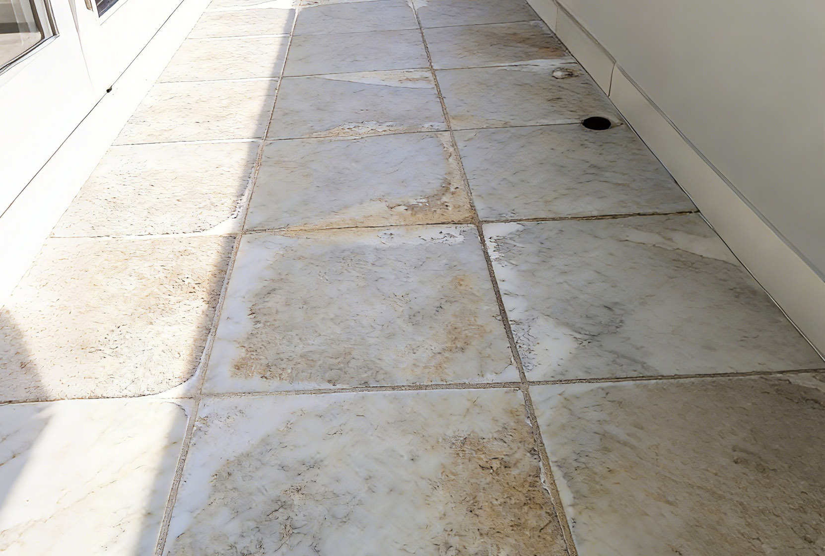 Marble Efflorescence and Calcification