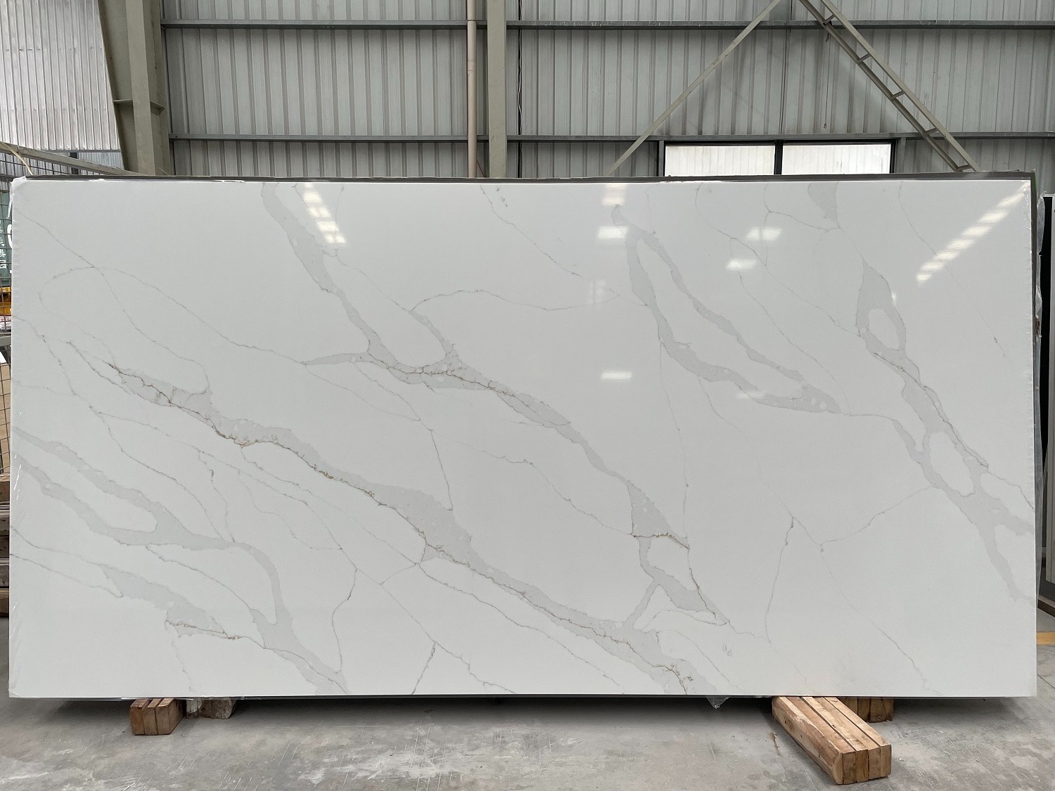 5052 Calacatta Leon Quartz Slabs