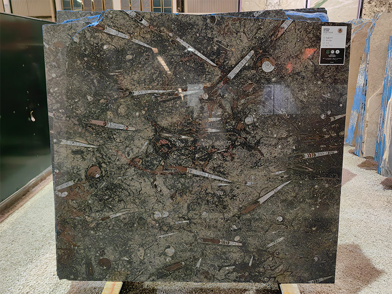 Morocco Fossil Stone