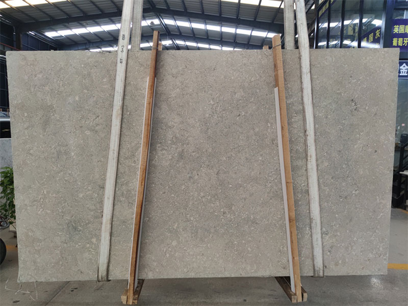 Grey Mocha Grigio Alpi Limestone Slab Supplier