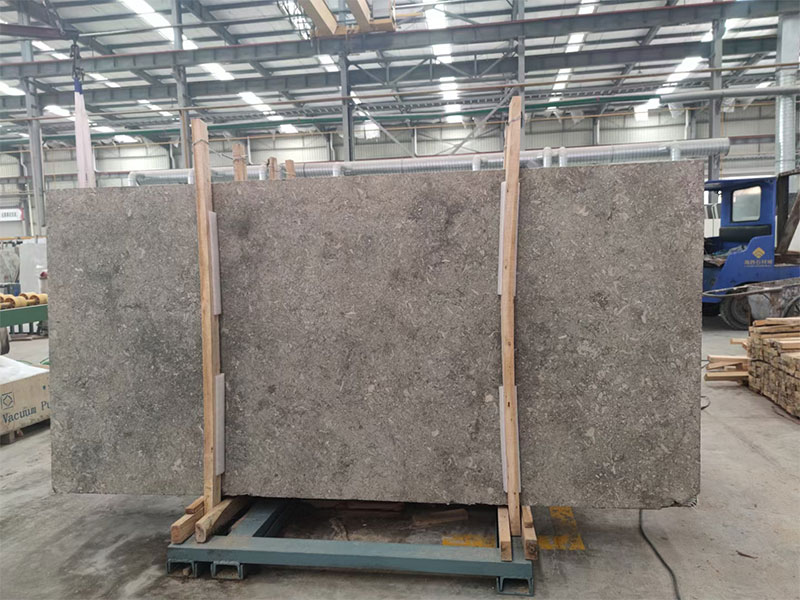 Grey Mocha Grigio Alpi Limestone Slab Supplier