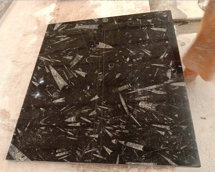 Fossil Black Marble Slabs Underwater World Veins