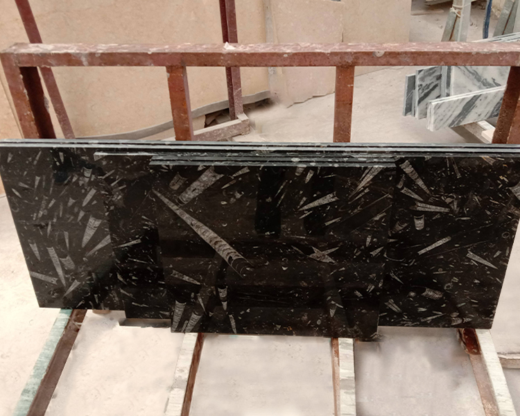 Fossil Black Marble Slabs Underwater World Veins