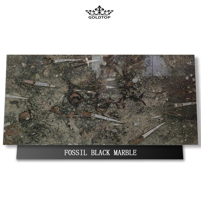 Fossil black marble Slabs