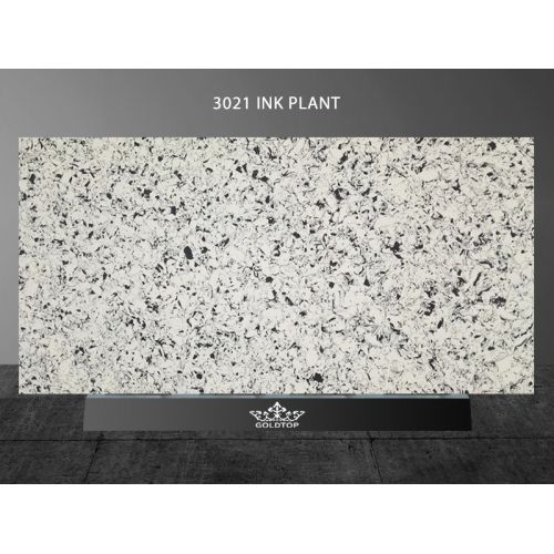 3021 Ink Plant Classic Grey Sparkle Quartz