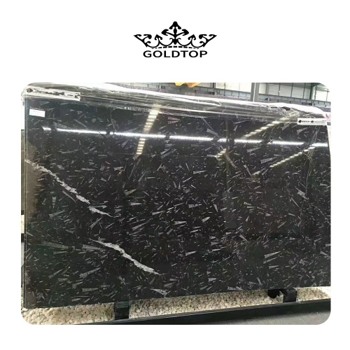 Fossil black marble Slabs