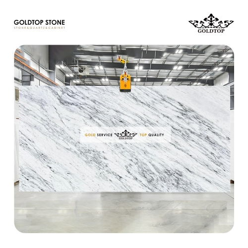 Arabescato Exotic White Marble