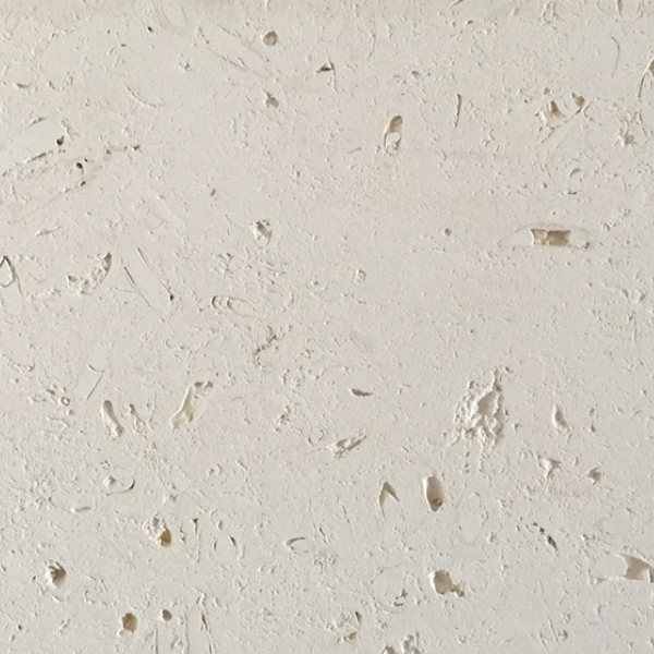 Ivory White Cheese Limestone