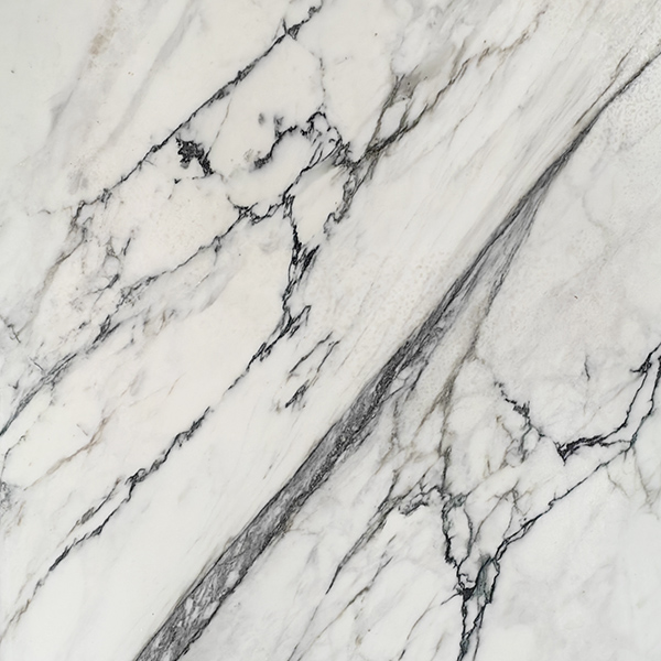 Calacatta Paonazzo Marble