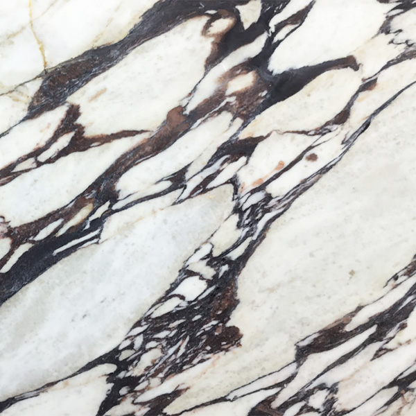 Calacatta Viola Marble